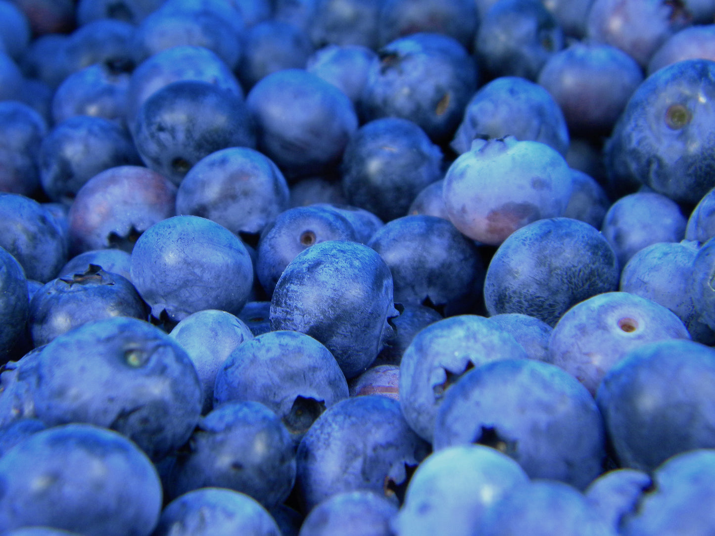 Blueberry-Cinnamon Jam - 250ml