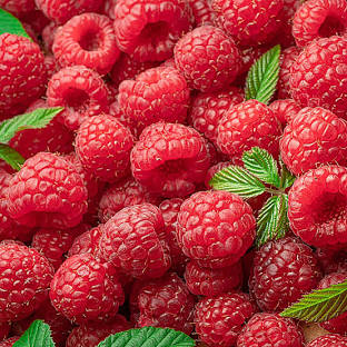 Raspberry Jam - 250ml